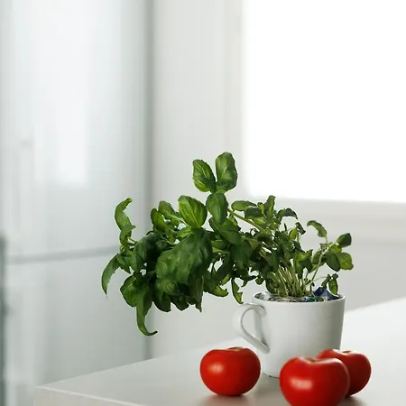 Rukalodge - High Quality With Saunas And Extras. 公寓 *