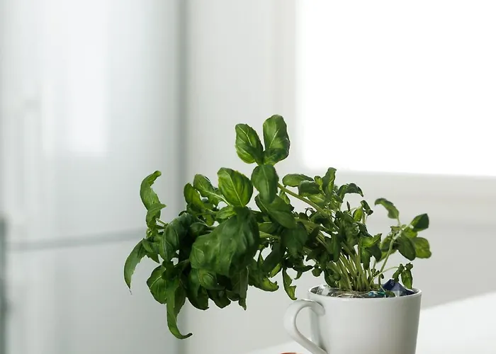 Rukalodge - High Quality With Saunas And Extras. Lägenhet *